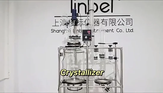 20L 50L 100L Chemical Lab Equipment Crystallization Reactor Filter Glass Reactor Nutsche Filter with Collecting Bottle